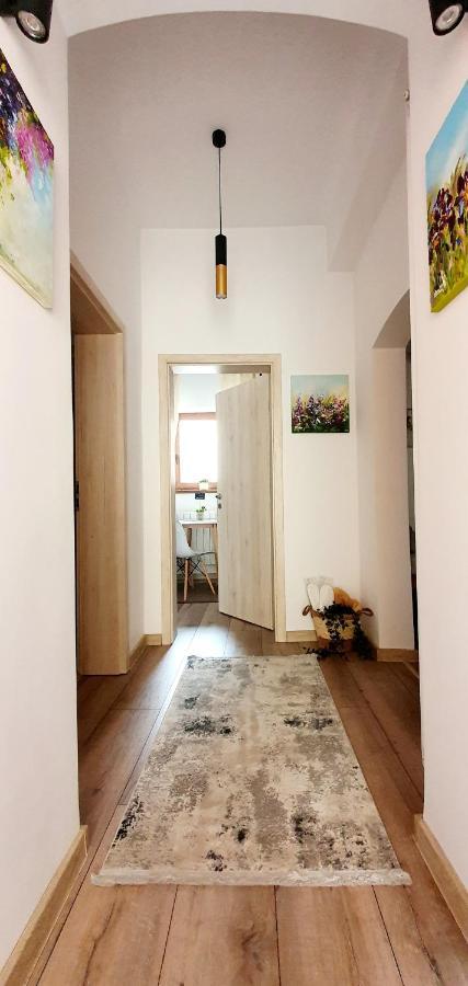 Art Studio Braşov Eksteriør billede